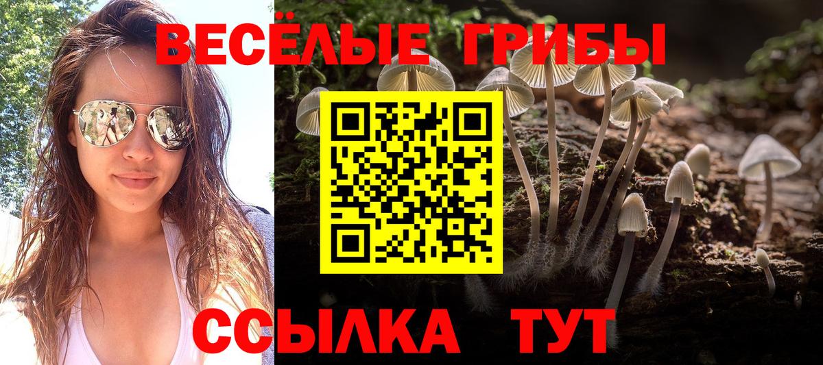 Галлюциногенные грибы Psilocybine cubensis  Вход с VPN  Евпатория 